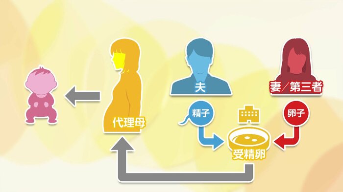 「代理出産」の仕組み