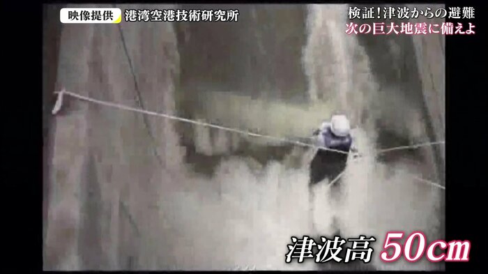 港湾空港技術研究所 “津波”再現映像