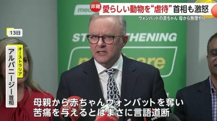 オーストラリアのアルバニージー首相は激怒