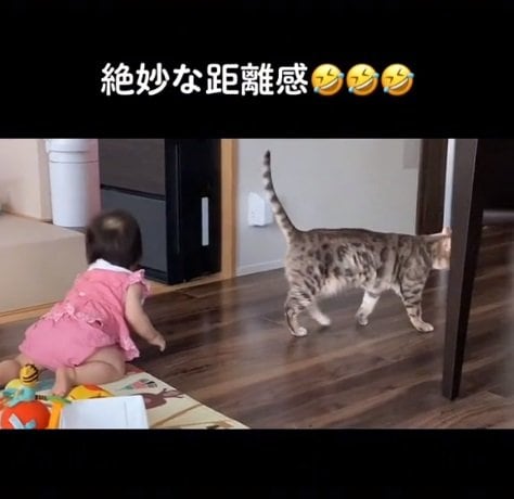 ルビーちゃんは娘さんと「絶妙な距離感」?