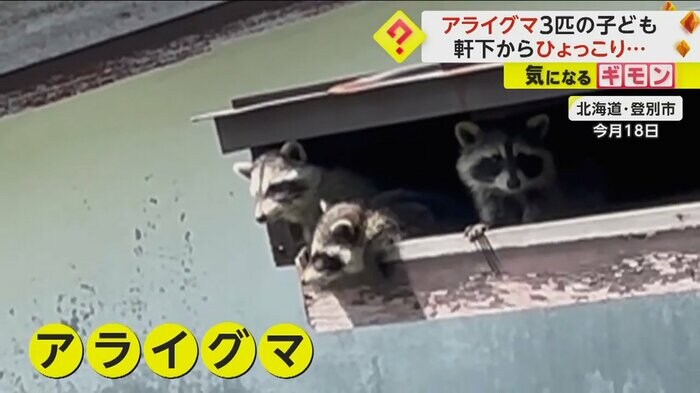 (FNN投稿サイト「ビデオPost」)