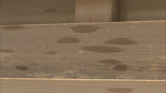 彌彦神社にも油のような液体（2015年）