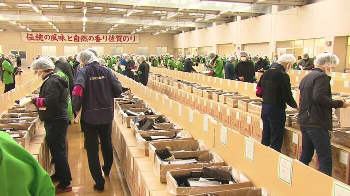 今季初のノリ入札会(2024年11月28日・佐賀市)