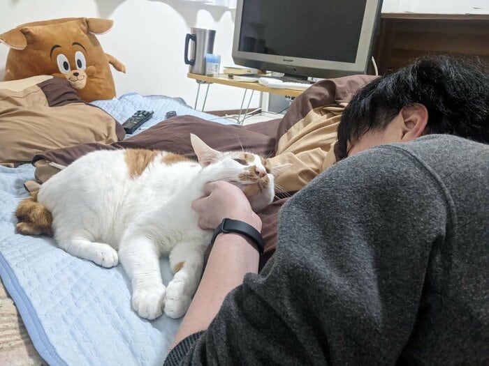 提供:tknさん