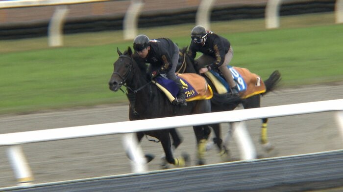 クラウンプライド最終追い切り