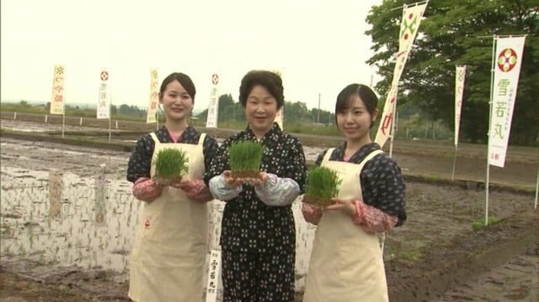 県産ブランド米「つや姫・雪若丸」 吉村知事が“いつものかすり姿”でPR　子どもたちと田植え【山形発】｜FNNプライムオンライン