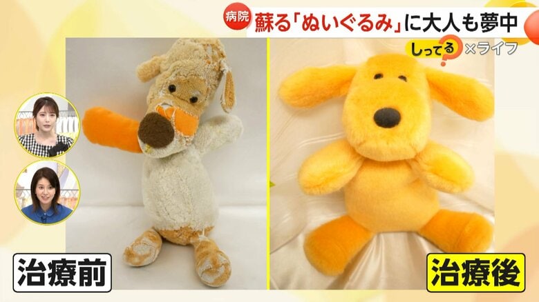 【ぬい活】“ぬいぐるみのクリニック”に予約殺到！治療費10万円超ケースも3カ月待ちの人気　専門旅行ツアー「ぬい旅」も｜FNNプライムオンライン