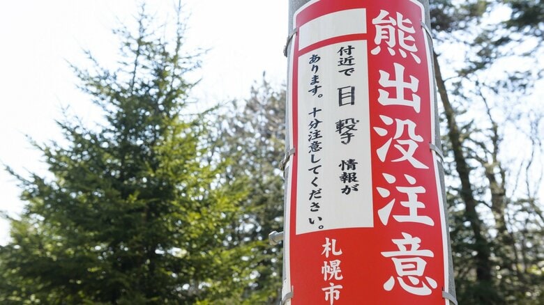 街に出没する「アーバンベア」が増加中…夜に活動など野生と異なる行動パターンと身を守る対策｜FNNプライムオンライン