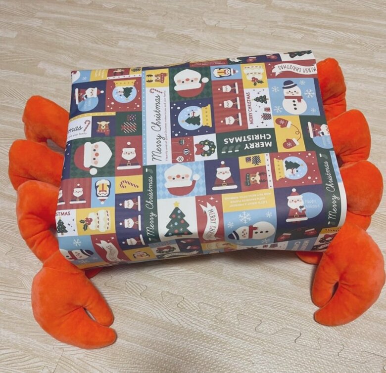 どう見てもカニ！母親による「自分で歩いてきた風」ラッピングがシュール…クリスマスプレゼントを見た3歳息子の反応を聞いた｜FNNプライムオンライン