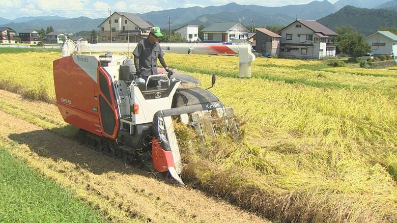 新米コシヒカリの出来は！？“水不足”でひび割れ・葉の変色も…被害乗り越え無事稲刈り「一等米はクリアできるのでは」新潟・南魚沼市｜FNNプライムオンライン