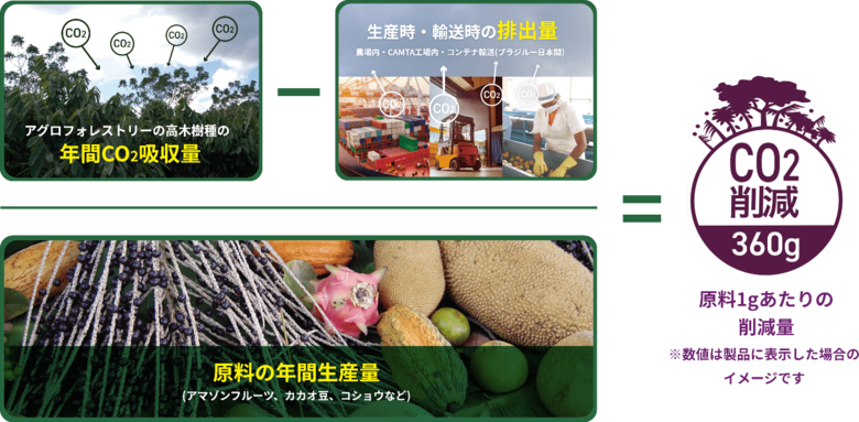 株式会社フルッタフルッタ2023年度CO2削減量のご報告