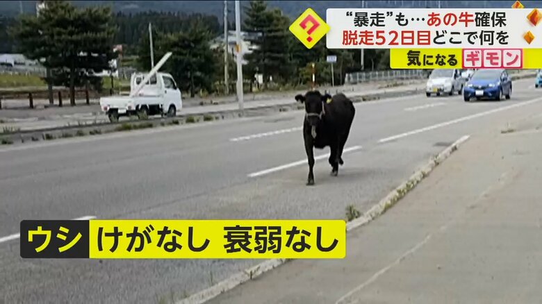 (FNN投稿サイト「ビデオPost」)