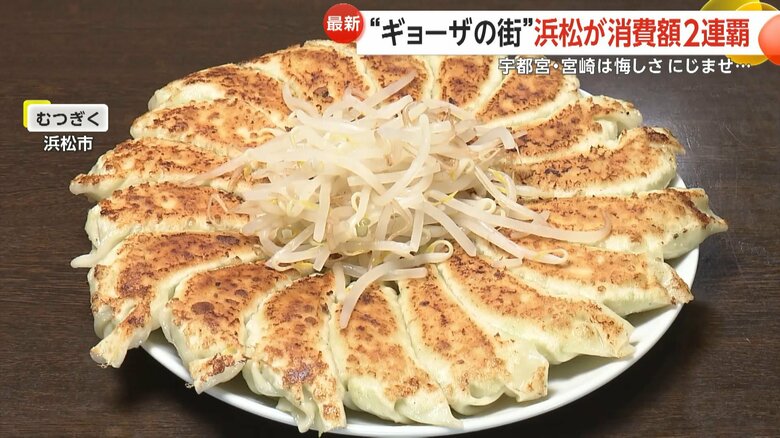 きれいな円形に焼かれ真ん中にもやしが乗っているのが特徴の浜松餃子