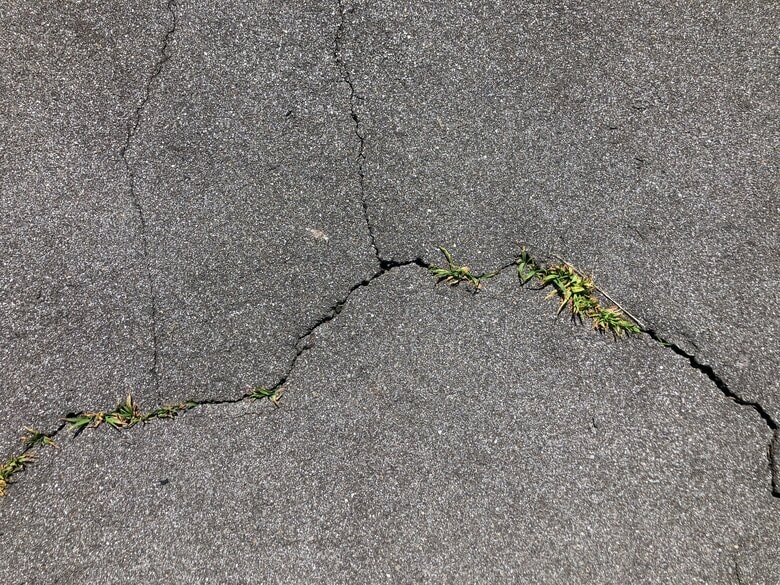 画像はイメージ