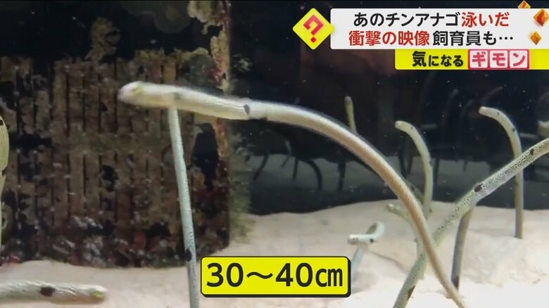 （京都水族館）