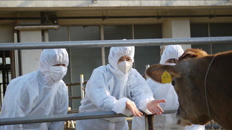 防護服を着て牛と触れ合われるご一家