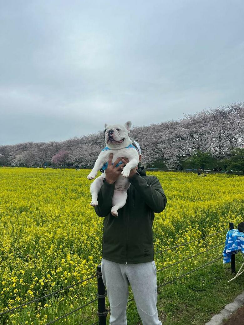 提供：こぶしさん