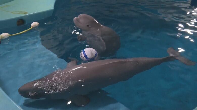 今後の成長と活躍に期待