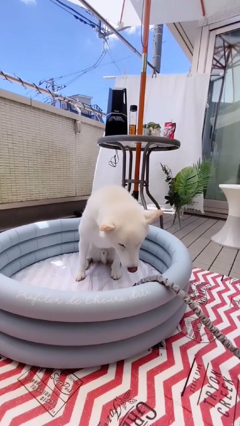 ホースから水が出てきていることを確認