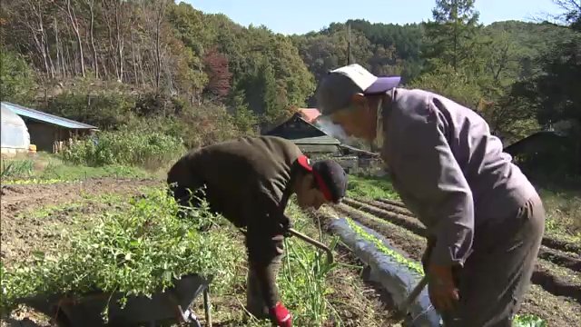 トマゾさん「田舎の暮らしはおもしろい」