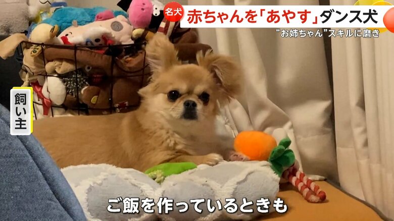 ダンスで赤ちゃんをあやし始めたハナちゃん