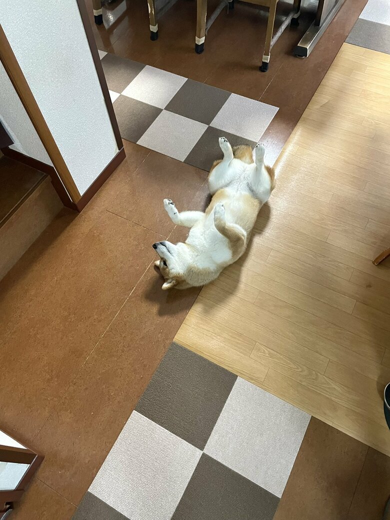 提供：うにさん