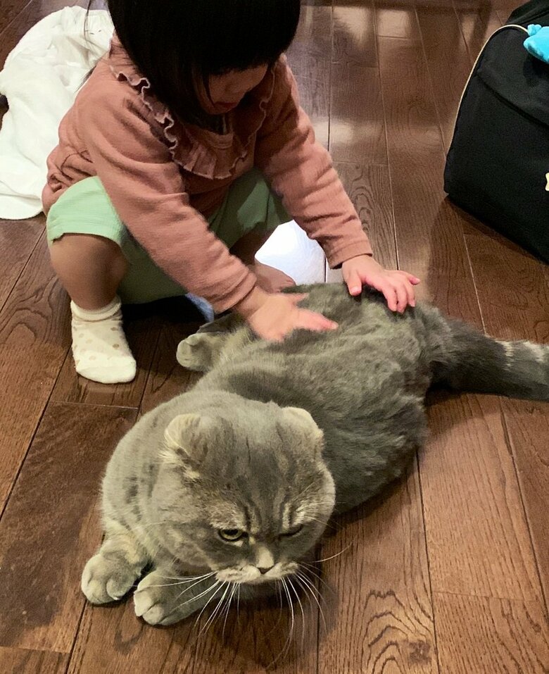 背中をなでなで