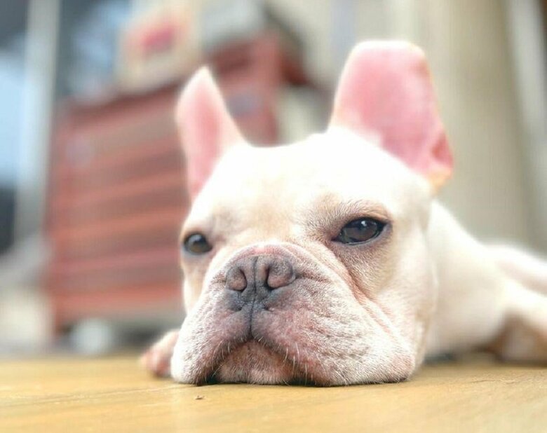 床が気持ちいい？