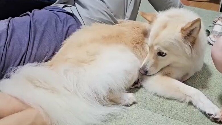 つるちゃんがやきもちをやいている様子。視線の先には