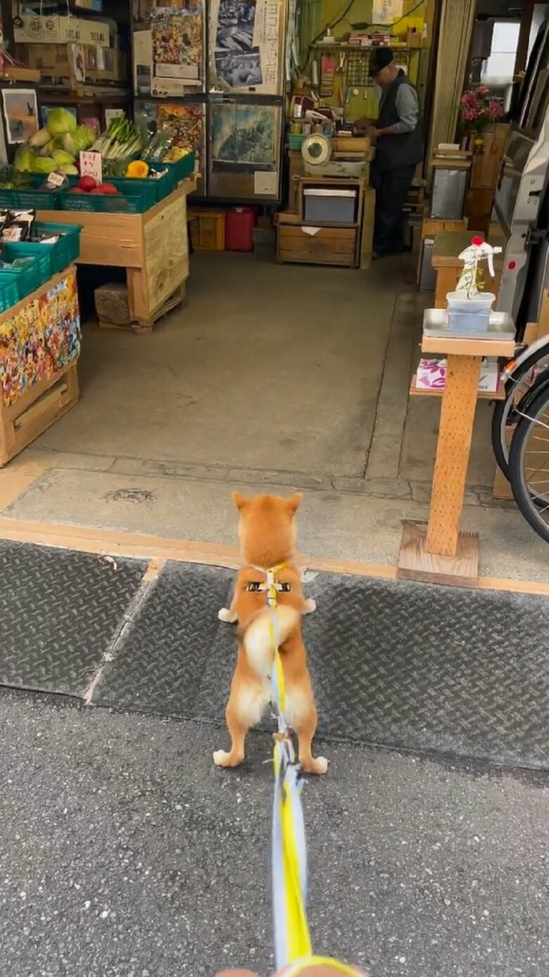こっちに気づかないかな？