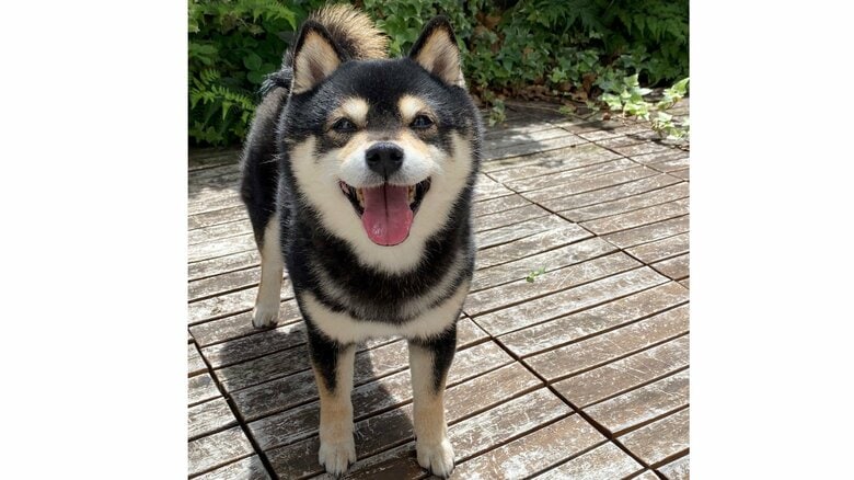 9歳の誕生日を迎えたナルトちゃん