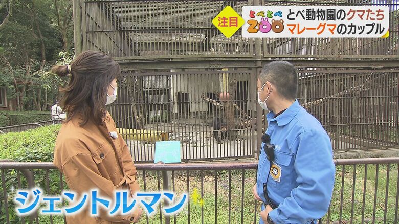 シャインの包容力は、まさに「ジェントルマン」