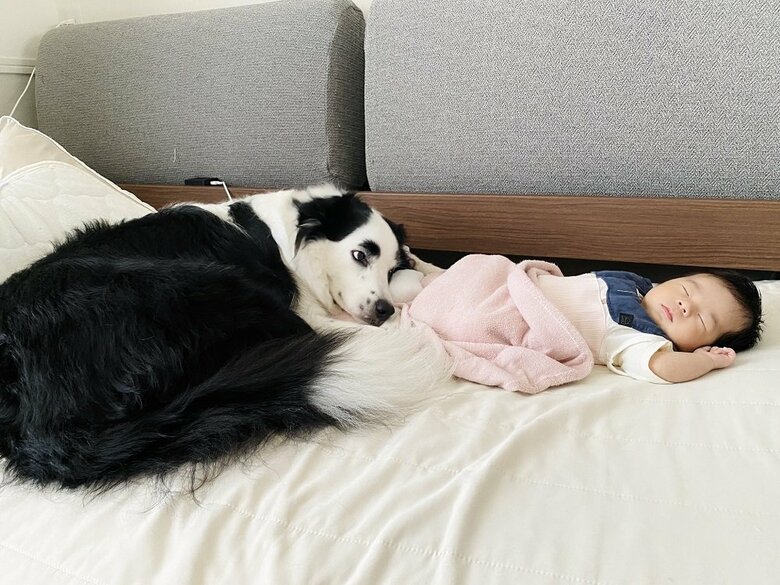 “兄”のように見守っている