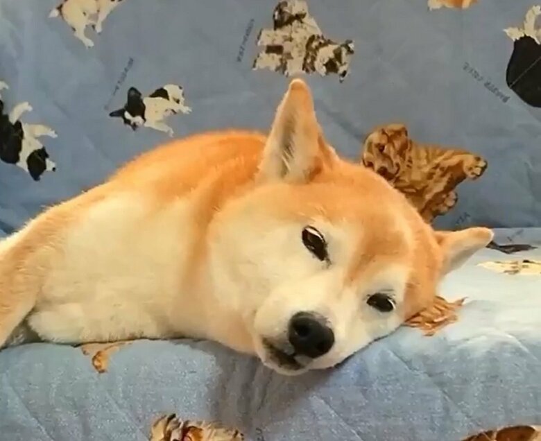 眠いのに雷が来るかもと眠れない･･･