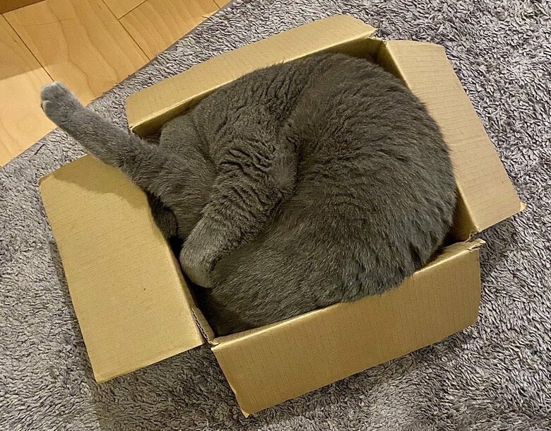 足だけがピーンと出ている