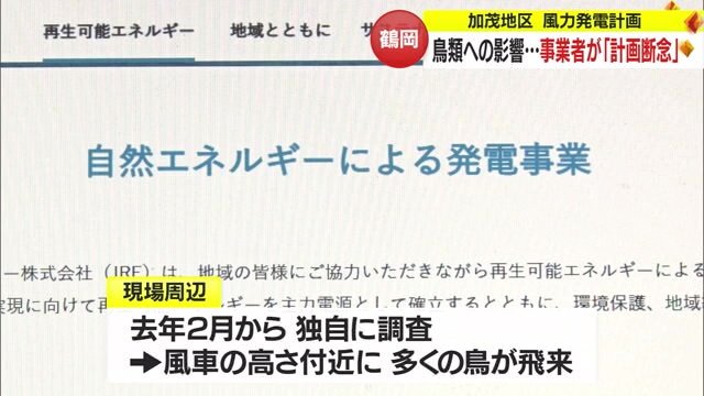 「風車の高さあたりに鳥が…」独自調査で判明