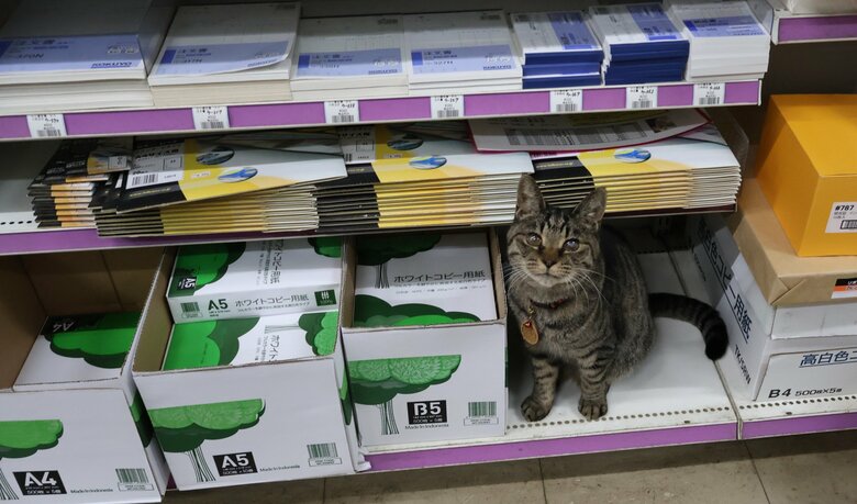 「A3のコピー用紙が終わっていますよ」