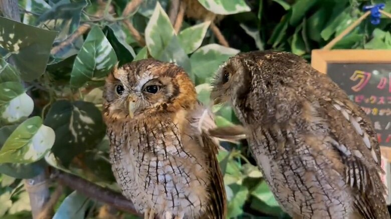 やはり受け取ってくれない