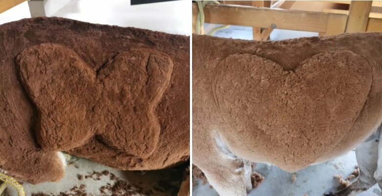 過去のカットデザイン。大きな蝶やハートがかわいい