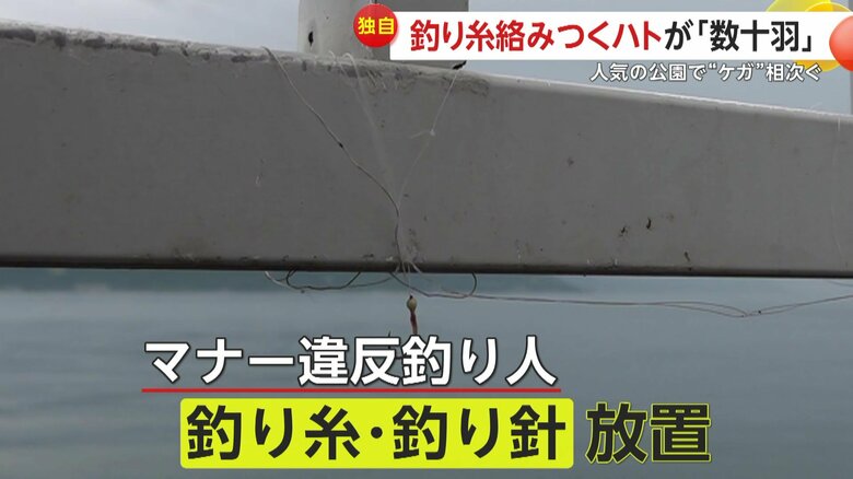 放置された釣り糸と釣り針