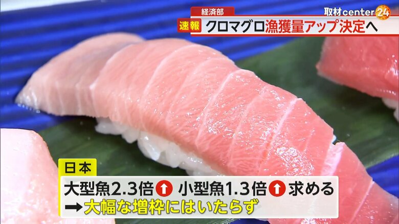 過去の乱獲で激減していたクロマグロ