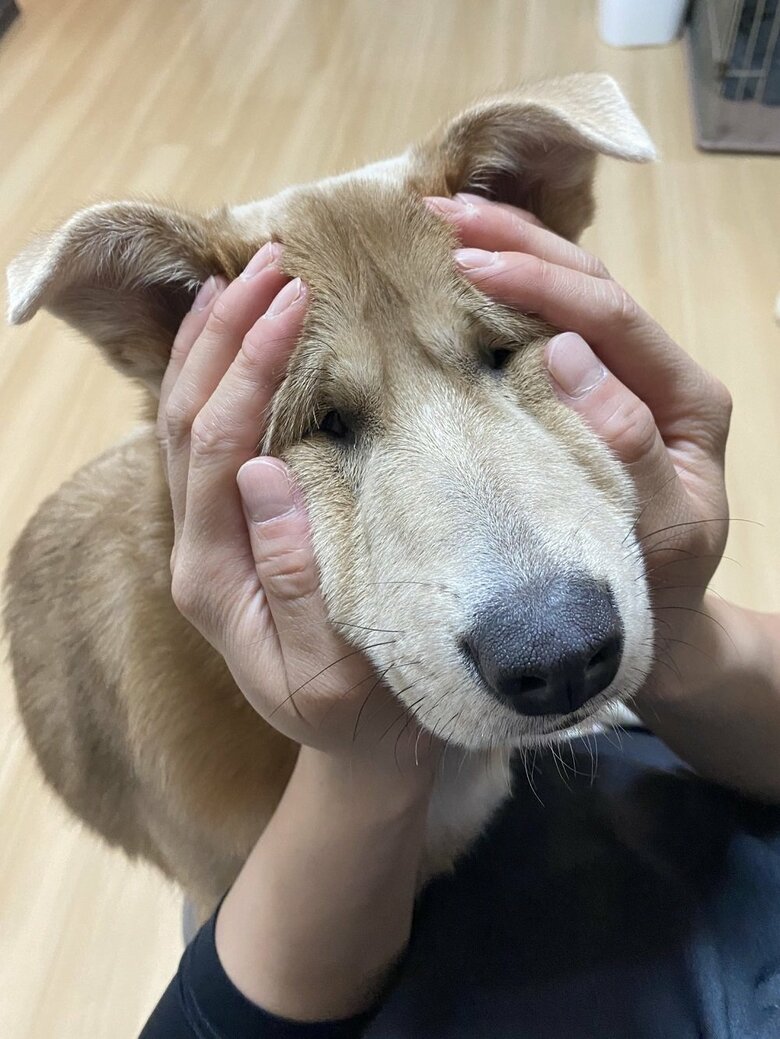 旦那さんに遊ばれるあさぎちゃん