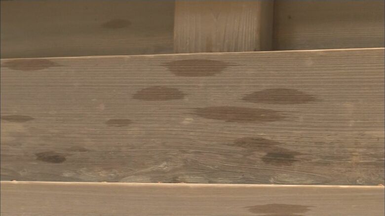 彌彦神社にも油のような液体（2015年）