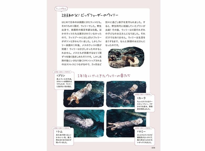 『おいでよ！ラッコ沼への招待状』（世界文化社）より