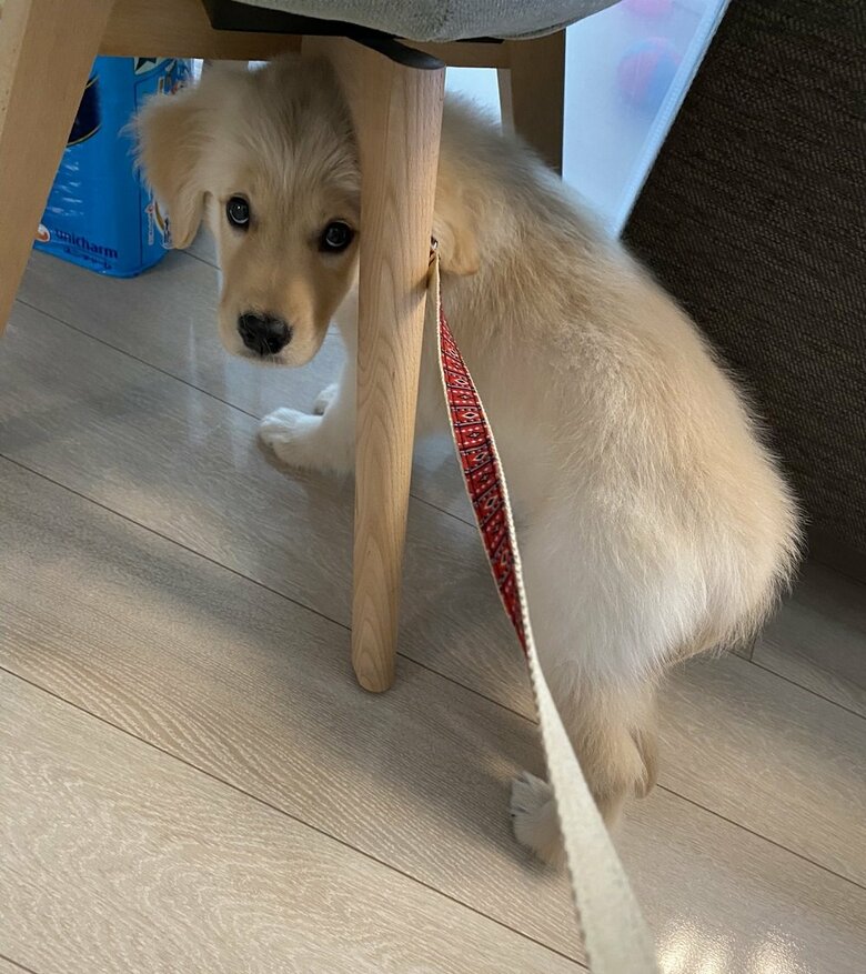 リードの練習中「怖い…」