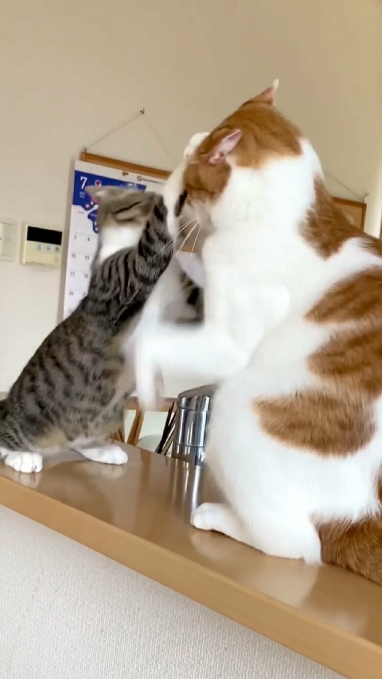 わさびくんにヒット！