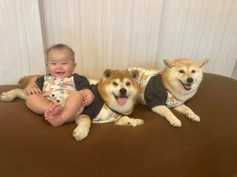 左から　娘さん、べりやんくん、むくみちゃん