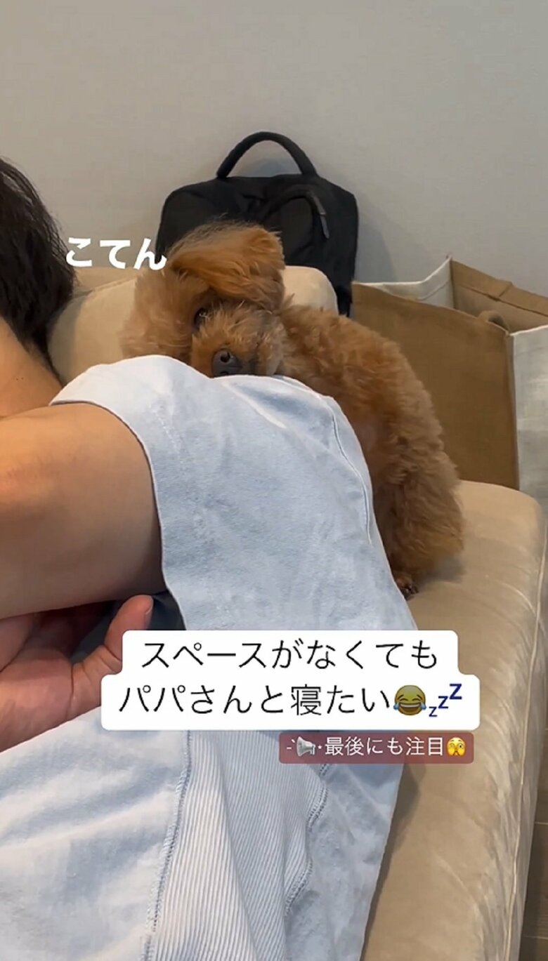 一緒に寝たいと、パパさんの肩に頭をコテンと乗せる