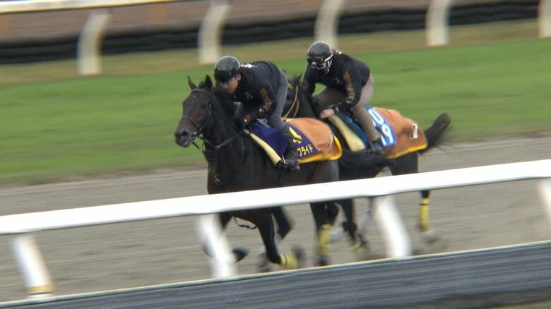 クラウンプライド最終追い切り