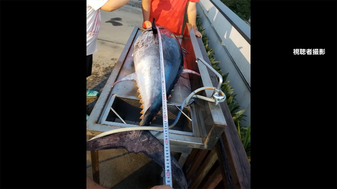 沖縄の海辺で拾ったのは マグロ 喜びつかの間 どう持ち帰る Fnnプライムオンライン Goo ニュース